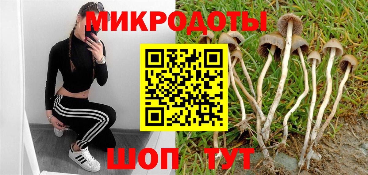 Псилоцибиновые грибы ЛСД Изобильный